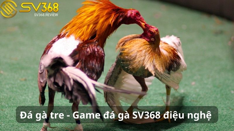 Bí quyết chơi đá gà SV368 bất bại